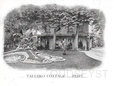 Driebergseweg0012, Villa Tallyho Cottage. 1902.jpg - Op de overplaats van de in 1824 aangelegde buitenplaats “De Breul” (aanvankelijk Hoog Kanje geheten) van de familie Kol verrijzen in 1831 de Buitenplaatsen Kleine Breul (Verbouwing Hofstede) en in 1854 Tallyho Cottage (Verbouwing Oranjerie) die overigens in de familie is  gebleven. Tot 1883 werd de buitenplaats geveild en gekocht voor buitenverblijf door de familie Salomons. In 1994 brandde het huis gedeeltelijk af en in 2005 is het gekraakte huis gesloopt en nu staat hier een in oude stijl gebouwde nieuwe villa. Opname van 1902.